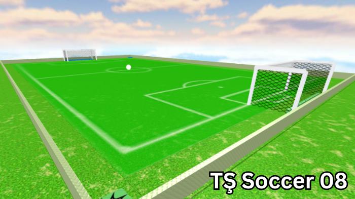 TŞ Soccer 08